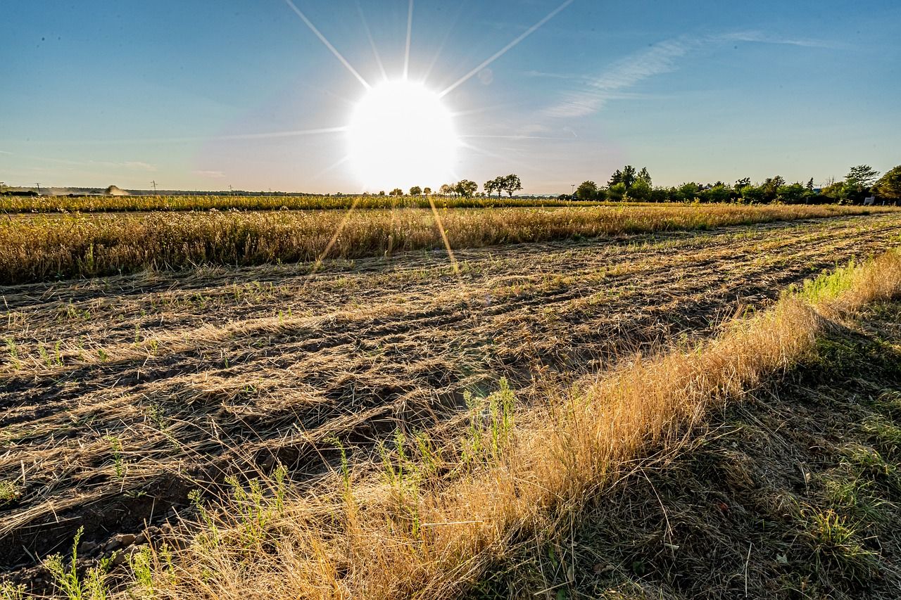 Copernicus: 2023 'virtually certain' to be warmest year on record  