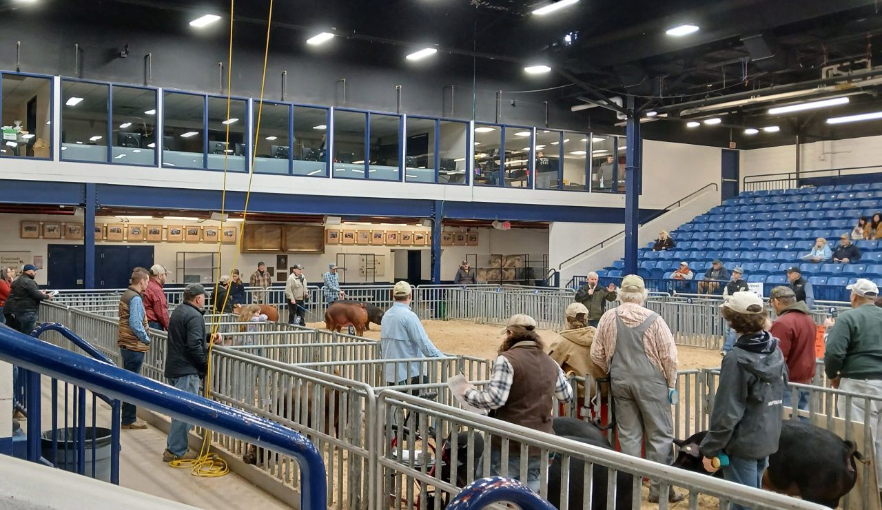 Social initiative for farmers developed in Galway now launched in US