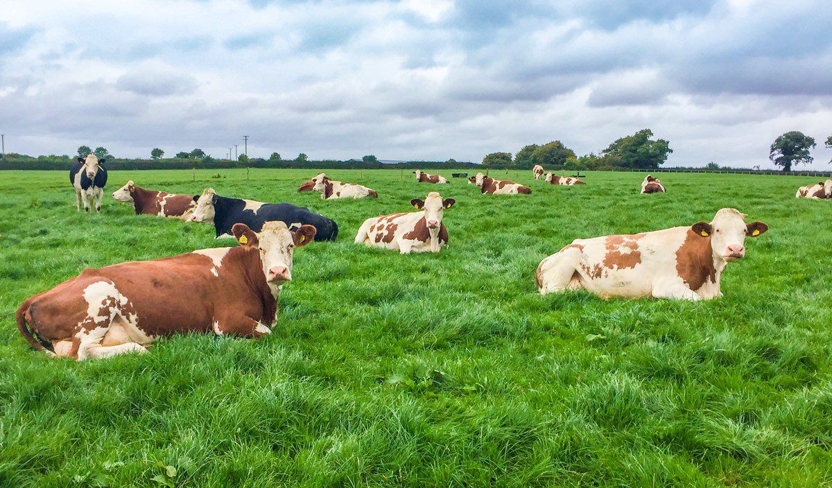 Financial pressure piles on stress for farming women