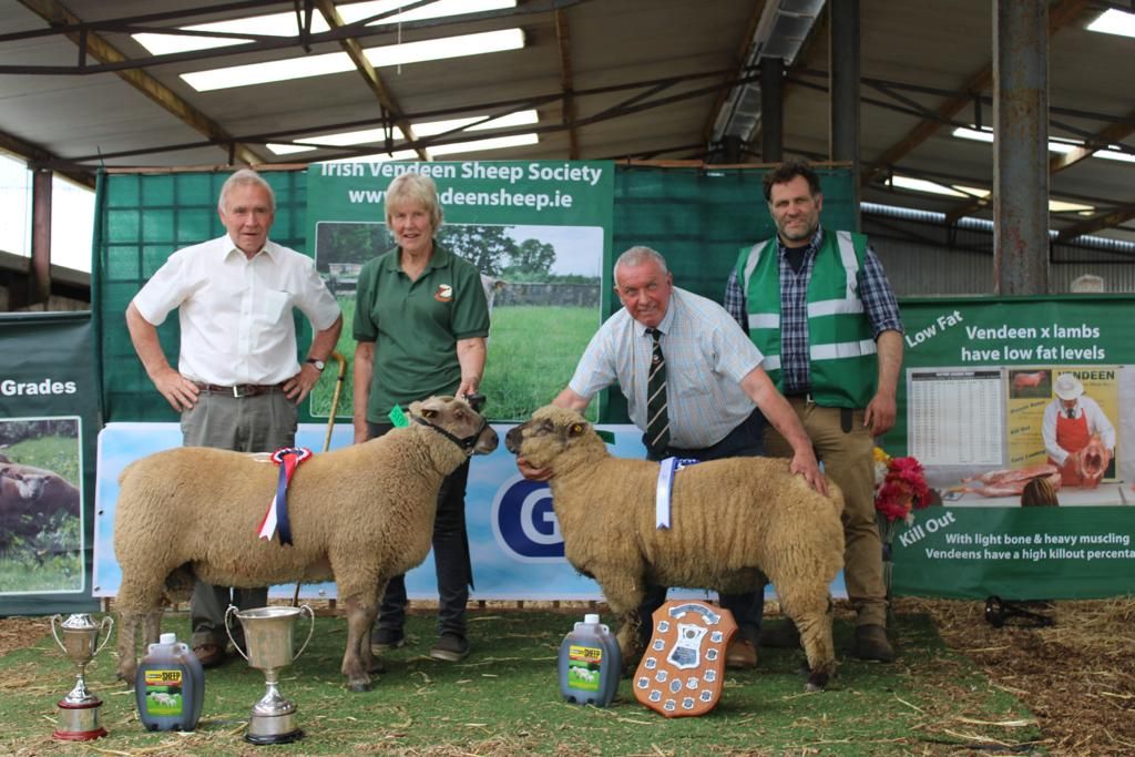 Prices at Vendéen premier show and sale top €1,100