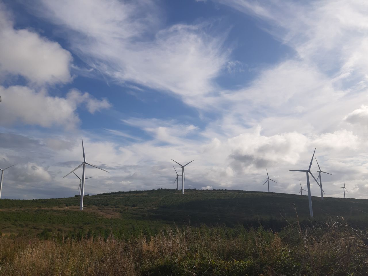 Explainer: What to consider before signing a wind farm proposal