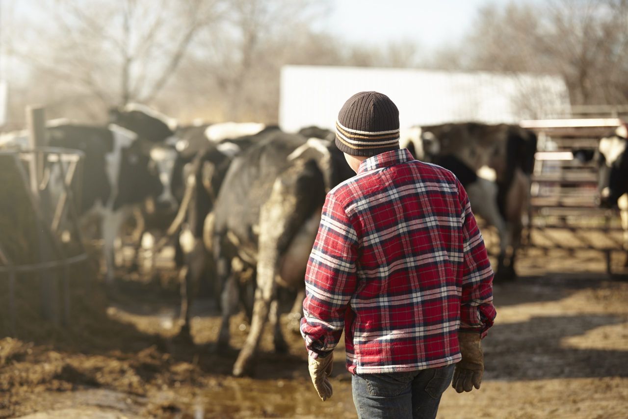 Ireland's family farms face a 'fight for survival' - agri committee chair