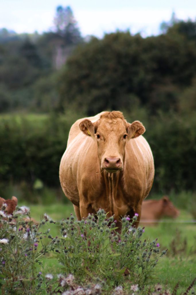 James Devins' photo