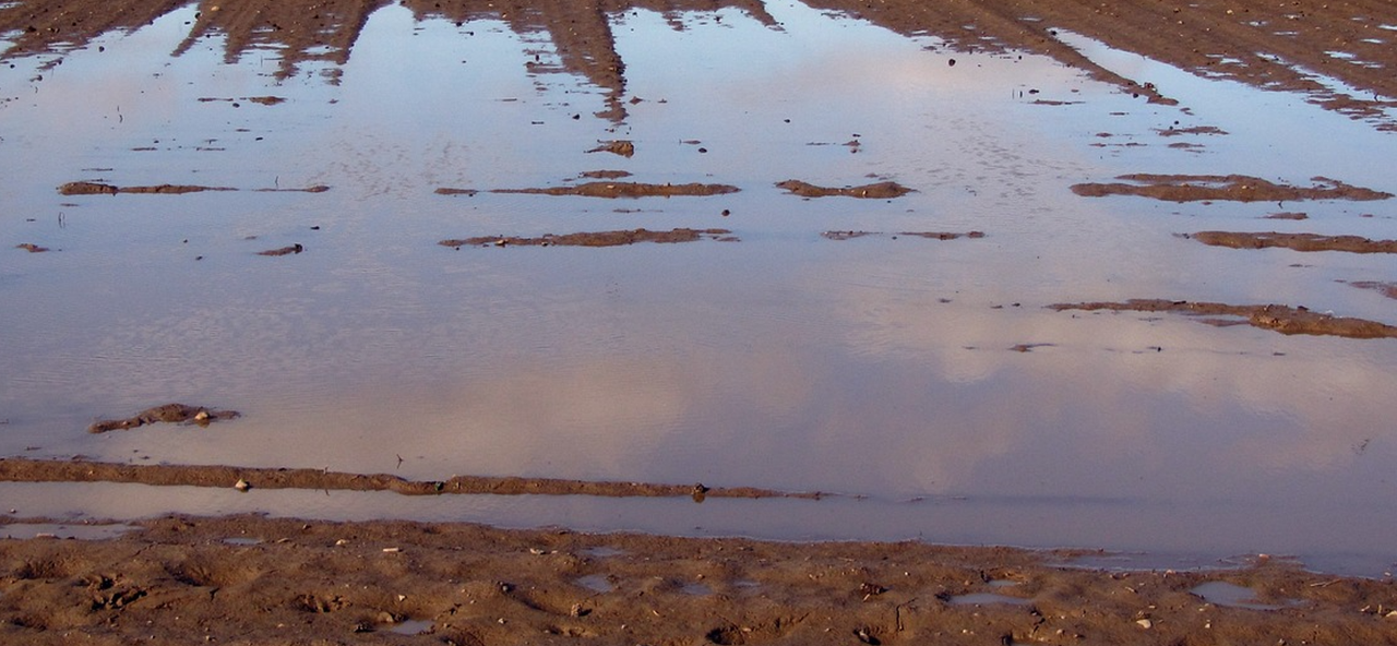 Minister: Payments 'not commenced' to farmers impacted by Cooley flooding