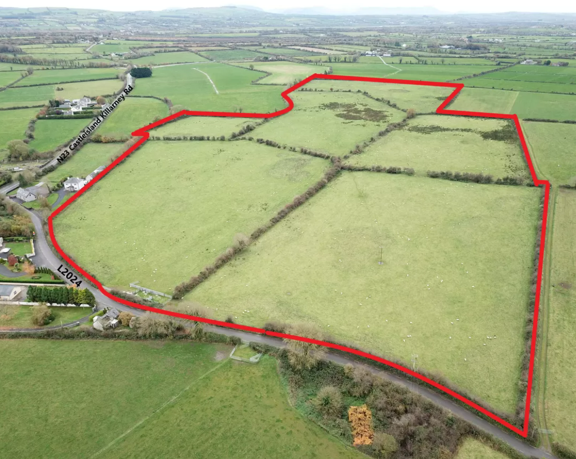45.5ac of prime Kerry land sells for €1.175m at auction