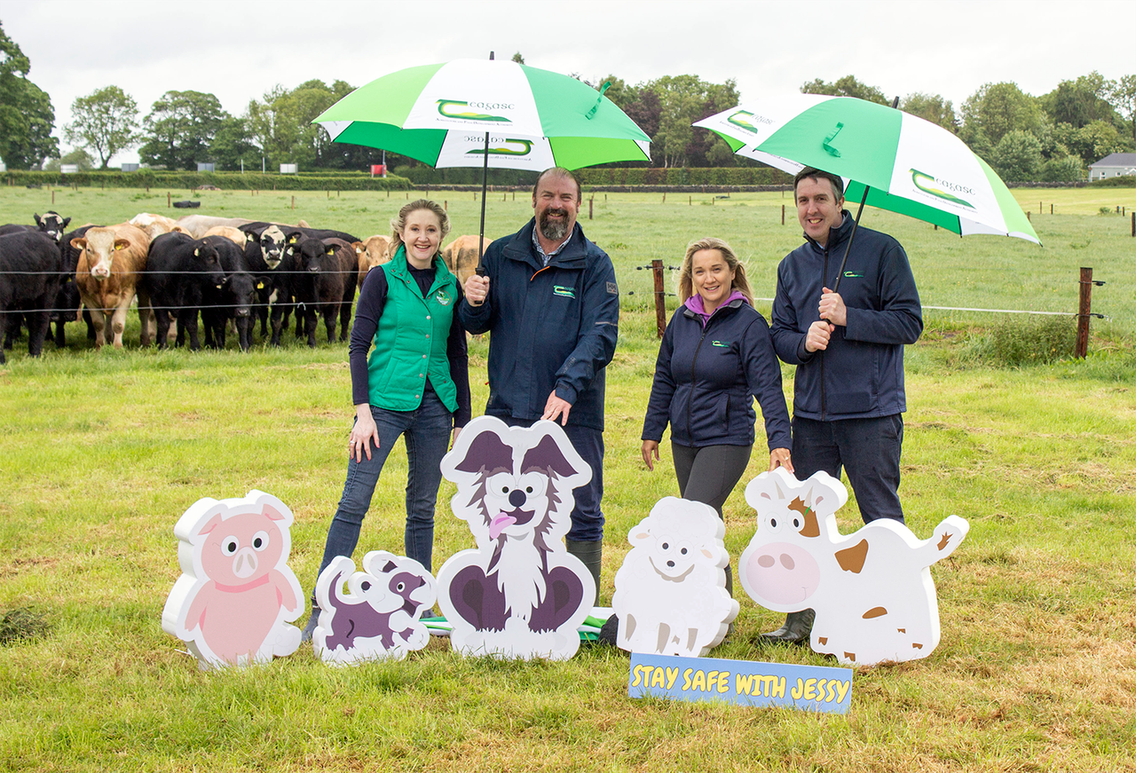 Primary school art competition to promote farm safety