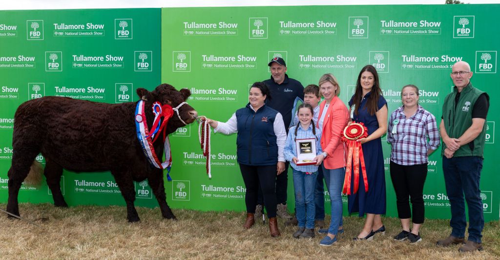 The Salers champion was owned by Catherine Minogue from Coolagoree Salers, Feakle, Co. Clare. Source: Alf Harvey.