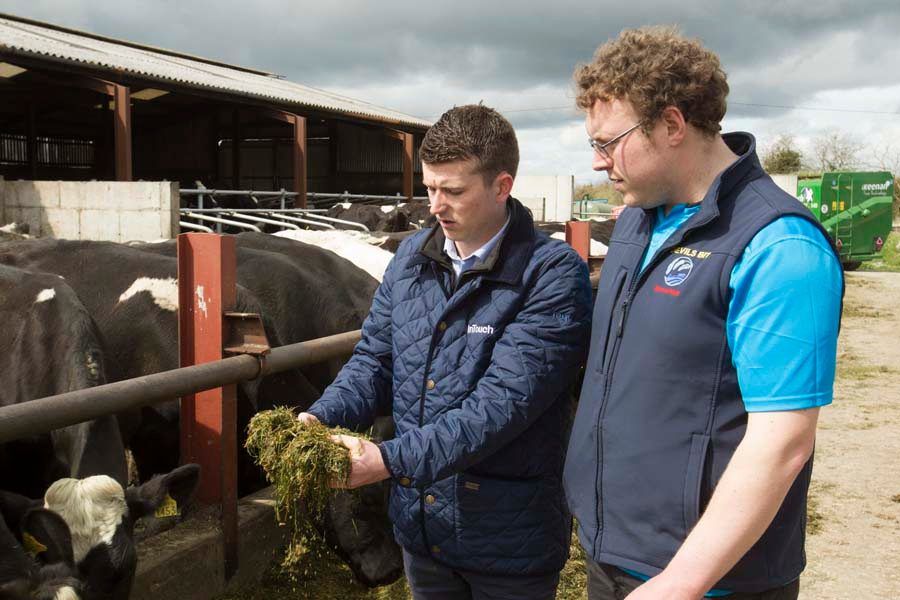 Alltech to host one-to-one nutrition clinics at 'Ploughing 2018'