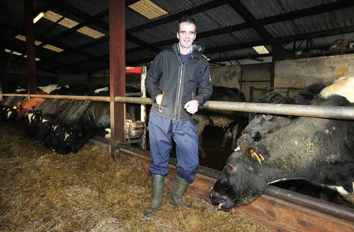 Joe Healy elected IFA President after landslide victory