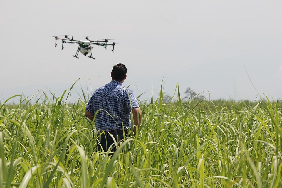 Drones, clean energy and precision: Plans for UK's farming future