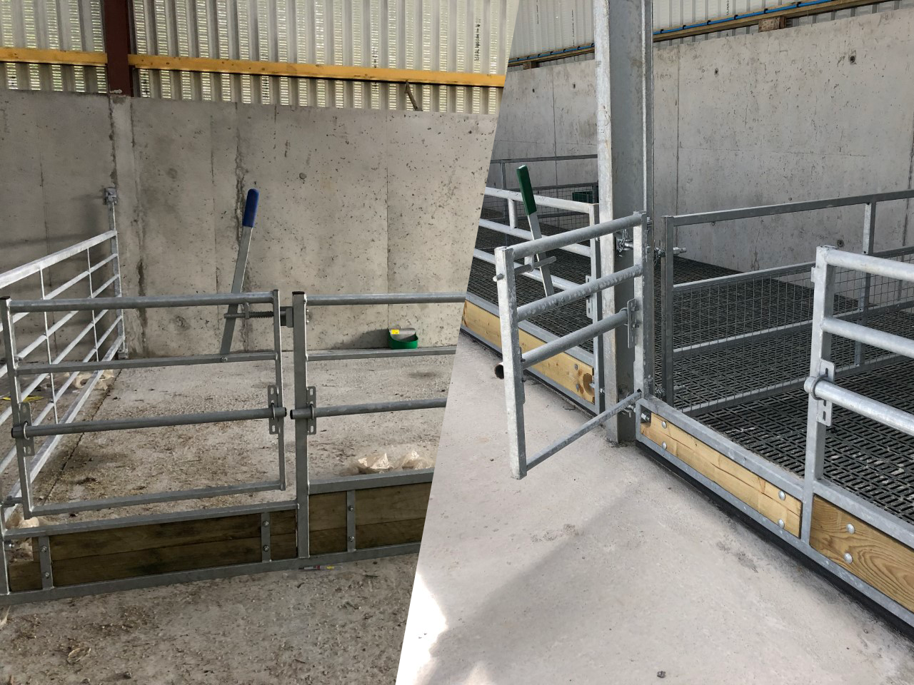 Slatted or dry bedded housing for sheep: What questions do I need to ask myself before deciding?