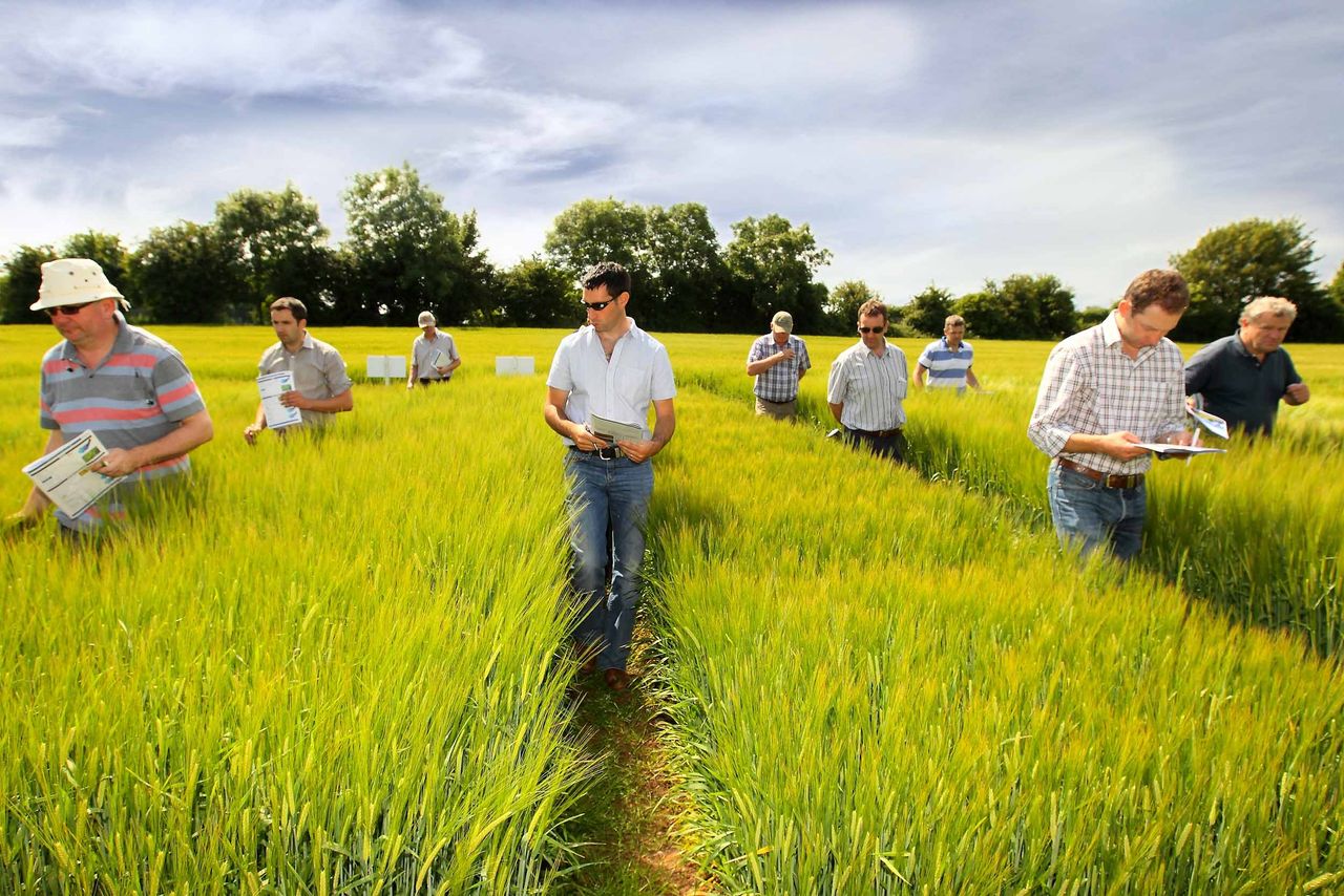 Huge interest in winter barley varieties at Seedtech open day