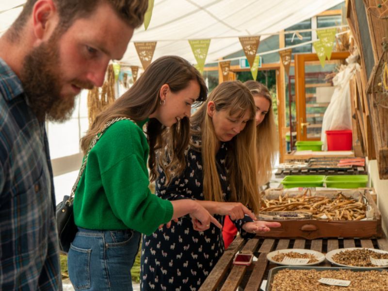 Seed exchange event to promote biodiversity this month
