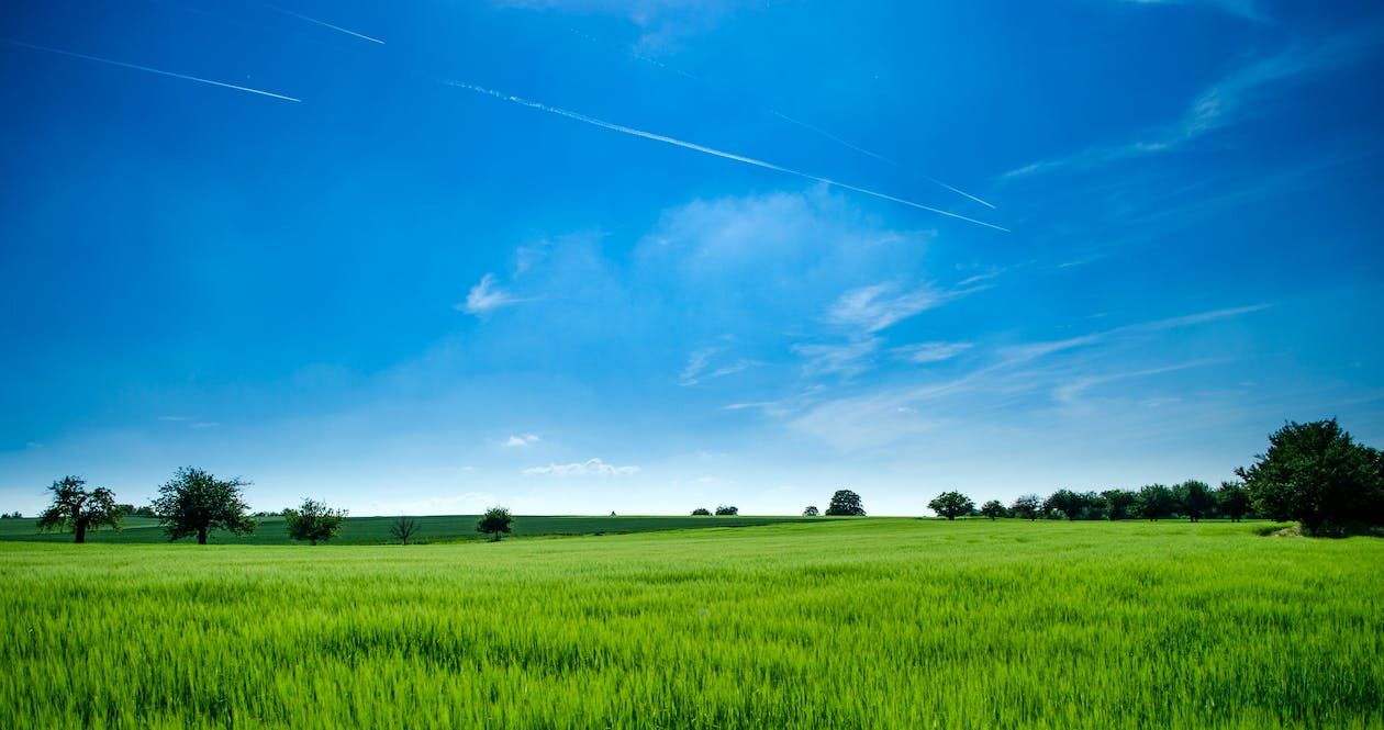 Minister urged to announce farmland exemption from RZLT before Budget
