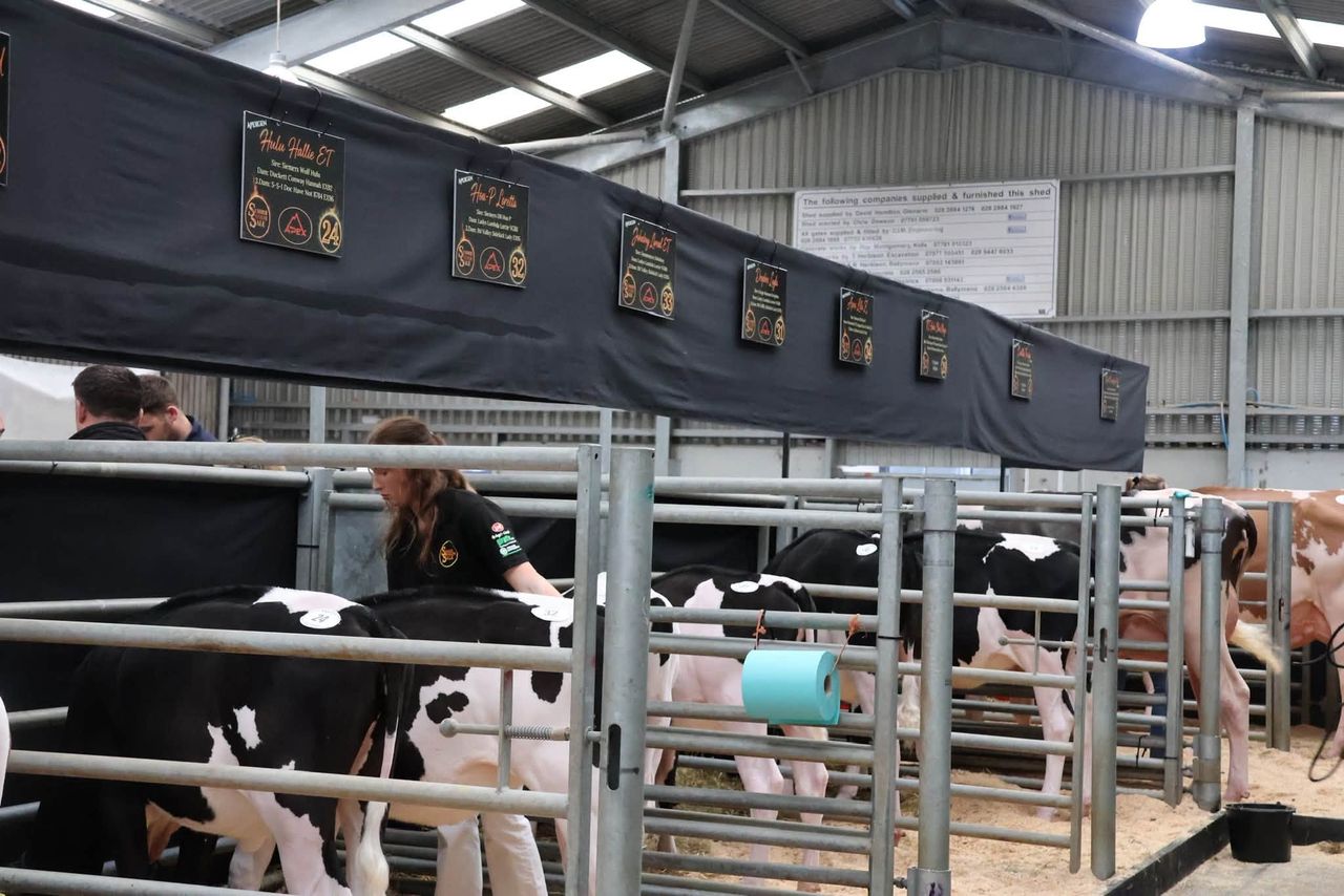 11,500gns achieved at Summer Sizzler Sale