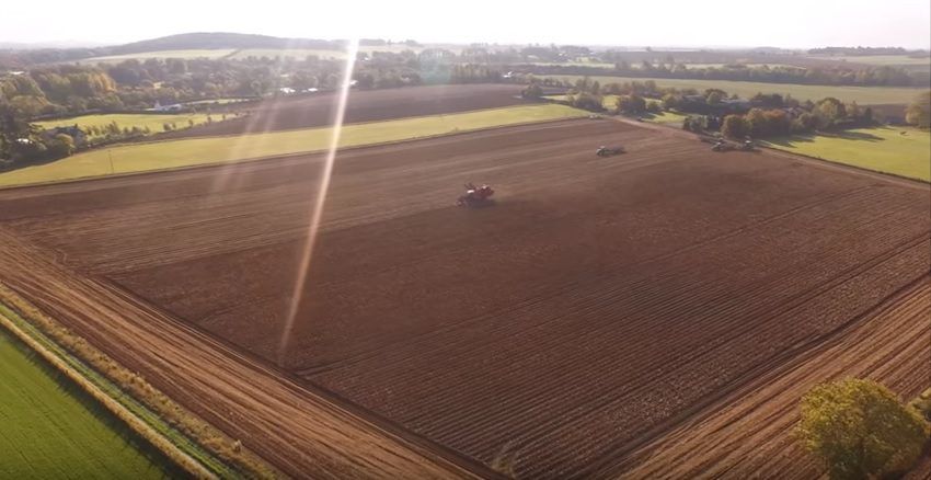 Video: The potato harvest came to an end in Kildare recently
