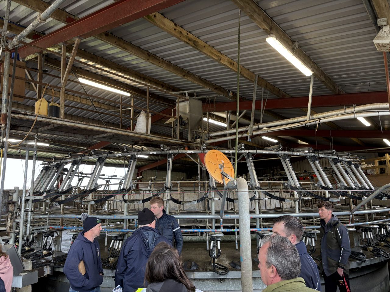 Dairying the New Zealand way - in Co. Laois