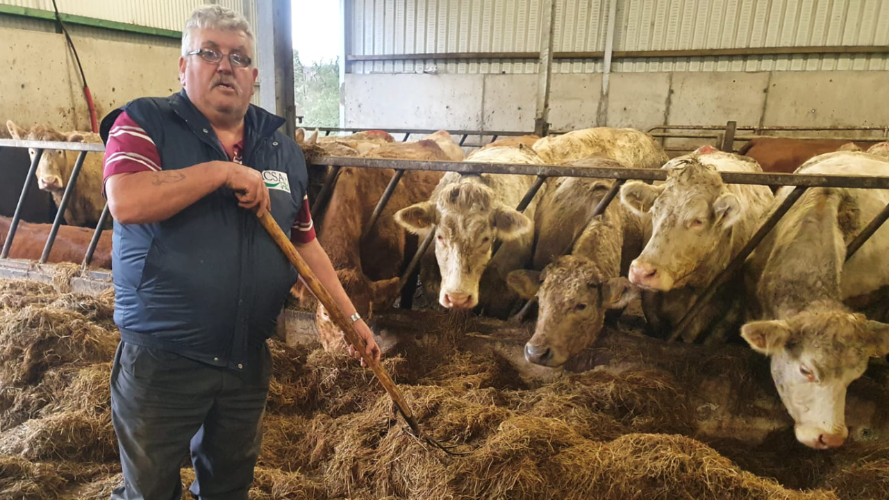 ICSA calls for CAP funds to support 'first 40ha'