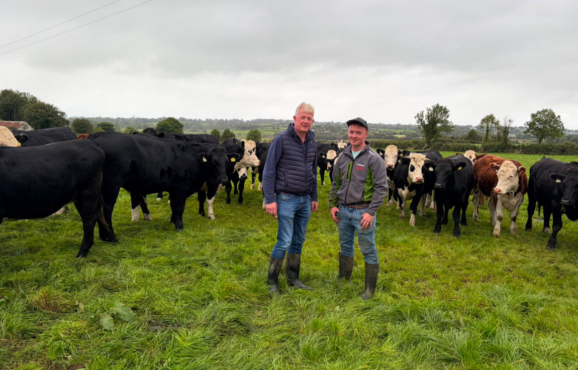 Liffey Meats event in Elphin to focus on new farmer sustainability programme