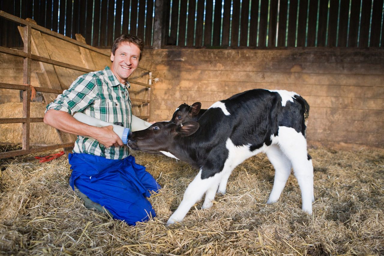 Dairy farmers work on average '400 hours' more a year than other farmers