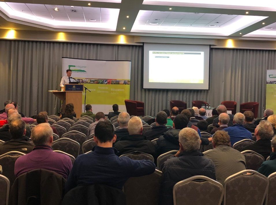 Live cattle exports 'set to exceed 300,000 head' by end of 2019