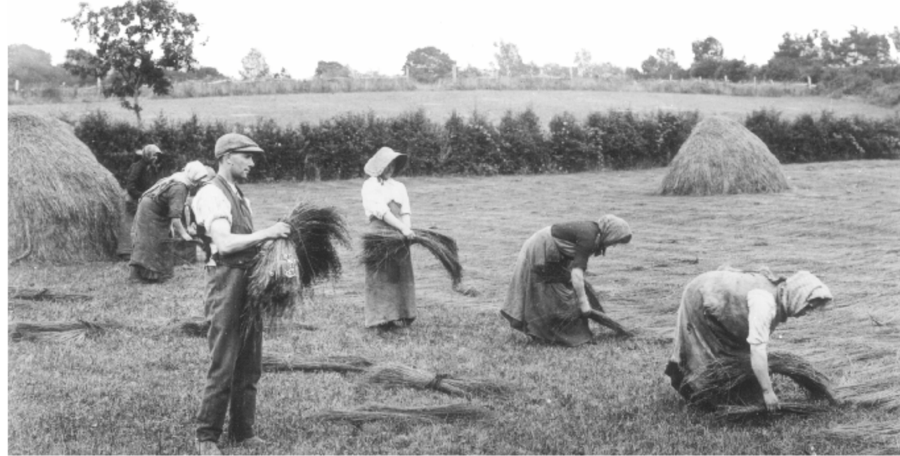 51% of 1926 workforce involved in agri-sector vs 4% in 2022 - CSO