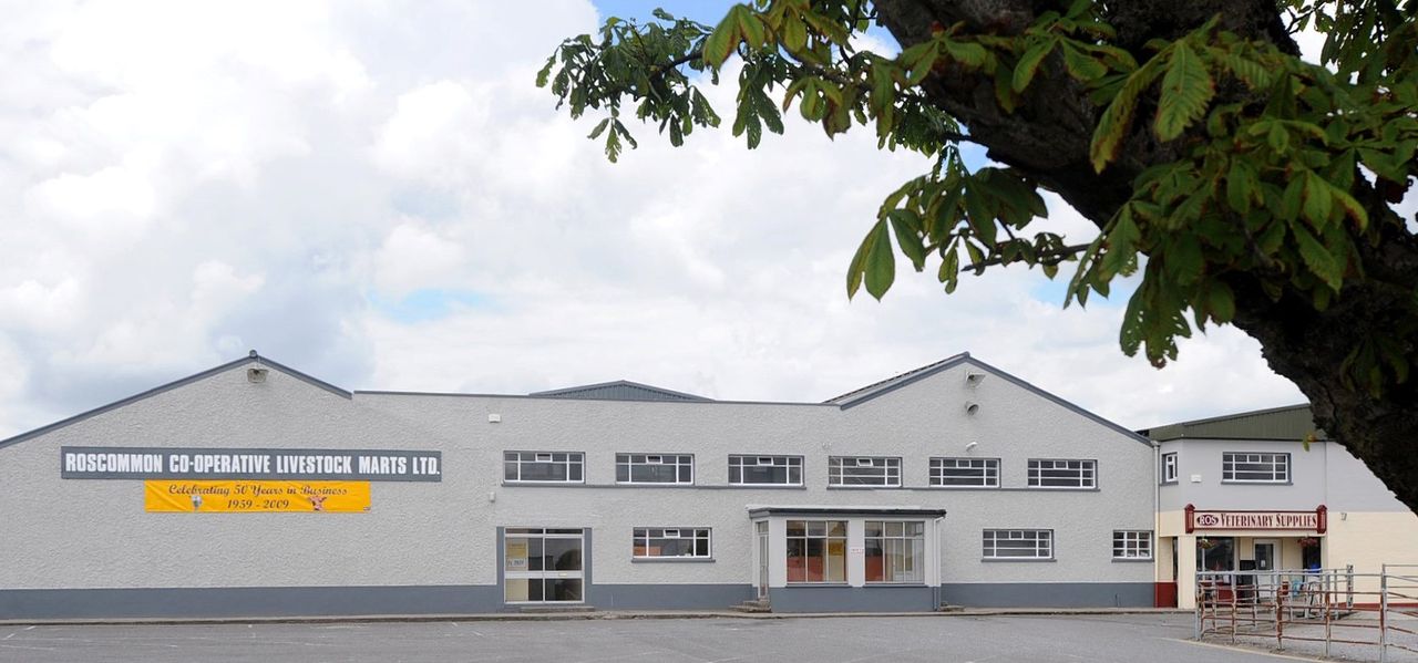Roscommon Mart appoints new manager