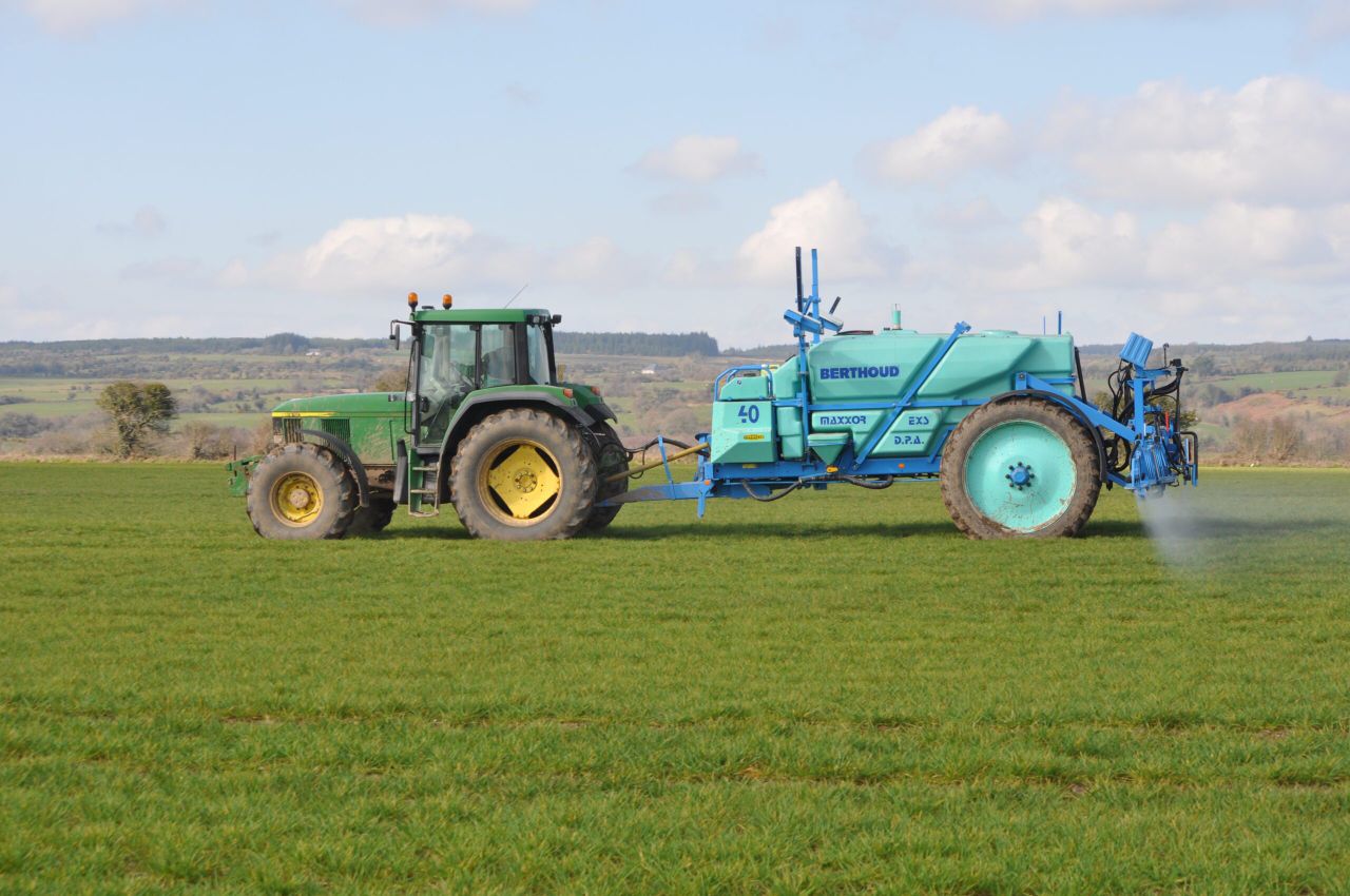 Winter barley: Disease risk as temperatures increase