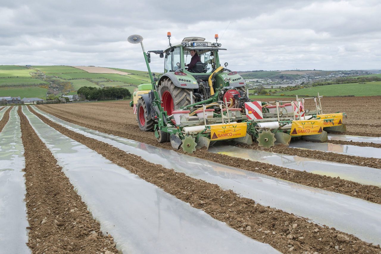 'Conditions for sowing maize are good at the minute'