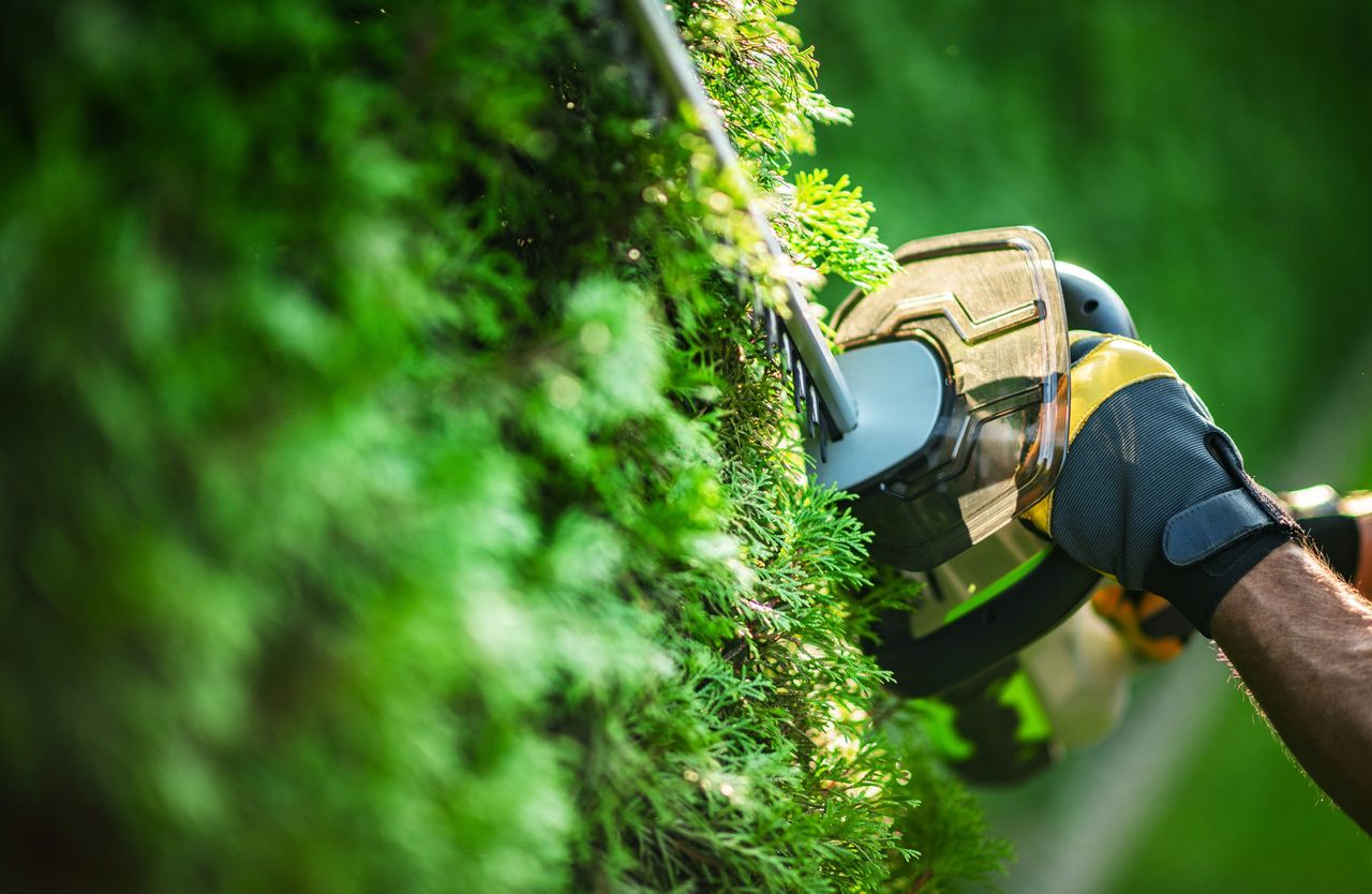 Government urged to 'extend' hedge-cutting open period