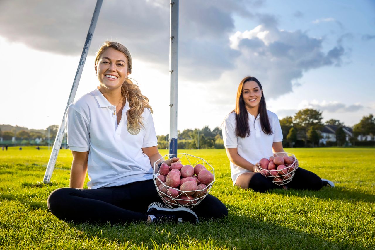 Irish potato sales increase by 24%