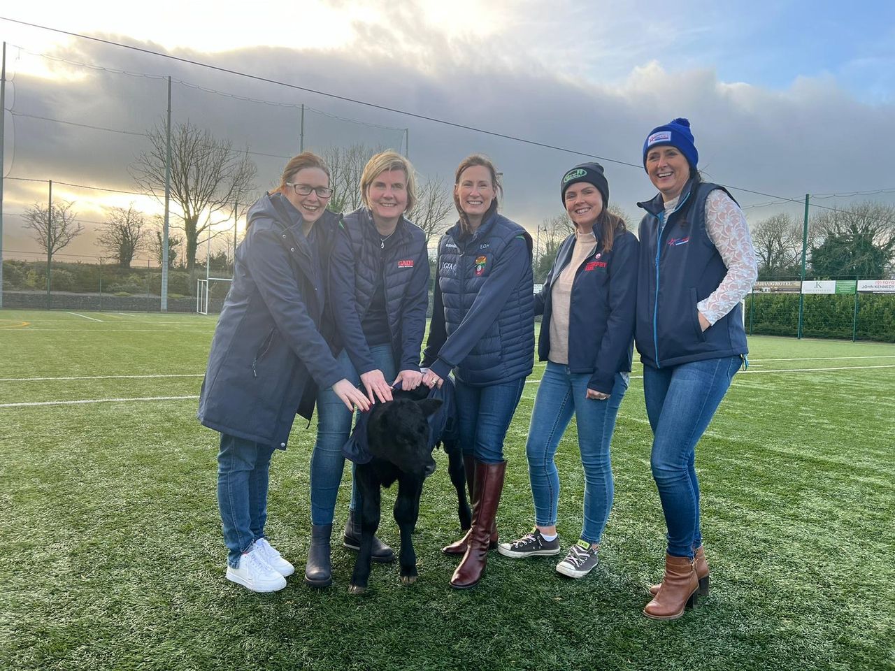 'Donate a calf' appeal for Rathgormack fundraiser