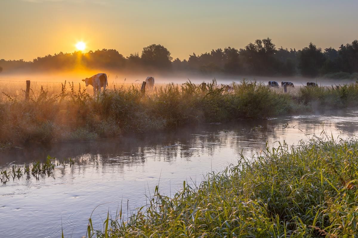 Department releases further details of GLAS 3 for farmers
