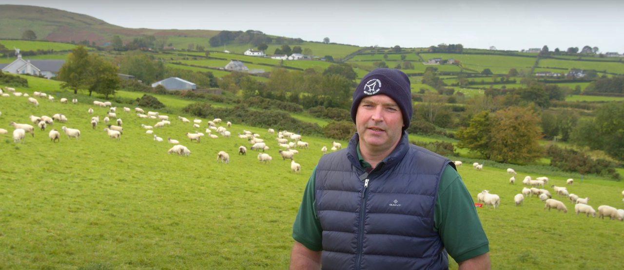 Co. Down sheep farmer, Colum Woods