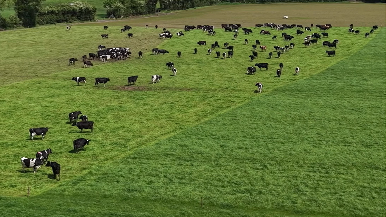 'It’s small money to stay on top of quality' - tackling SCC in Tipperary