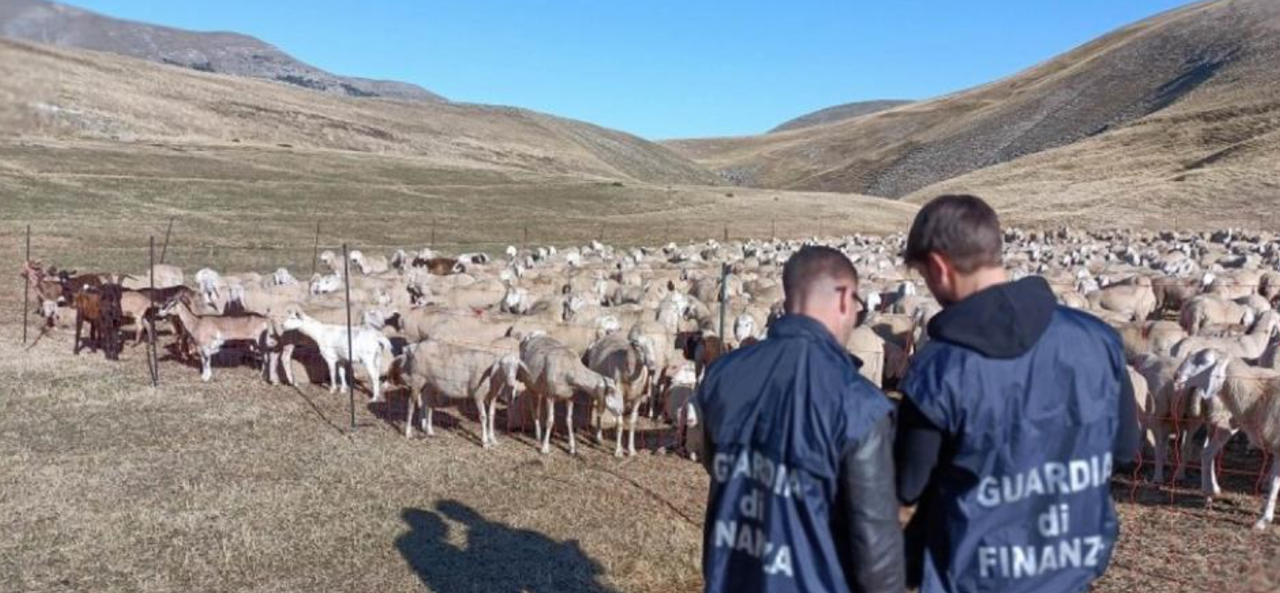 Italy cracks down on €20m organised crime farm funds fraud