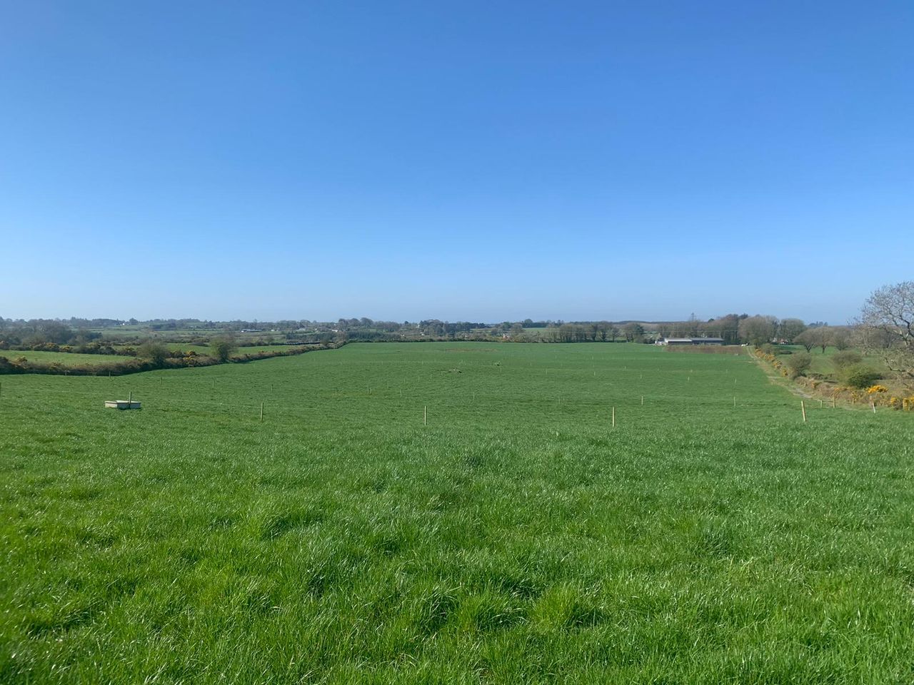 GrowthWatch: Dry weather takes its toll in some areas