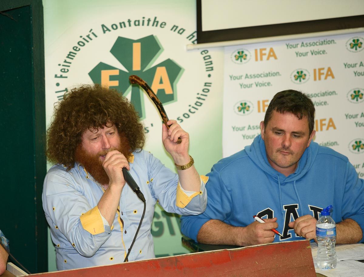 Pics: 'Packed ringside' at Donegal IFA's charity auction