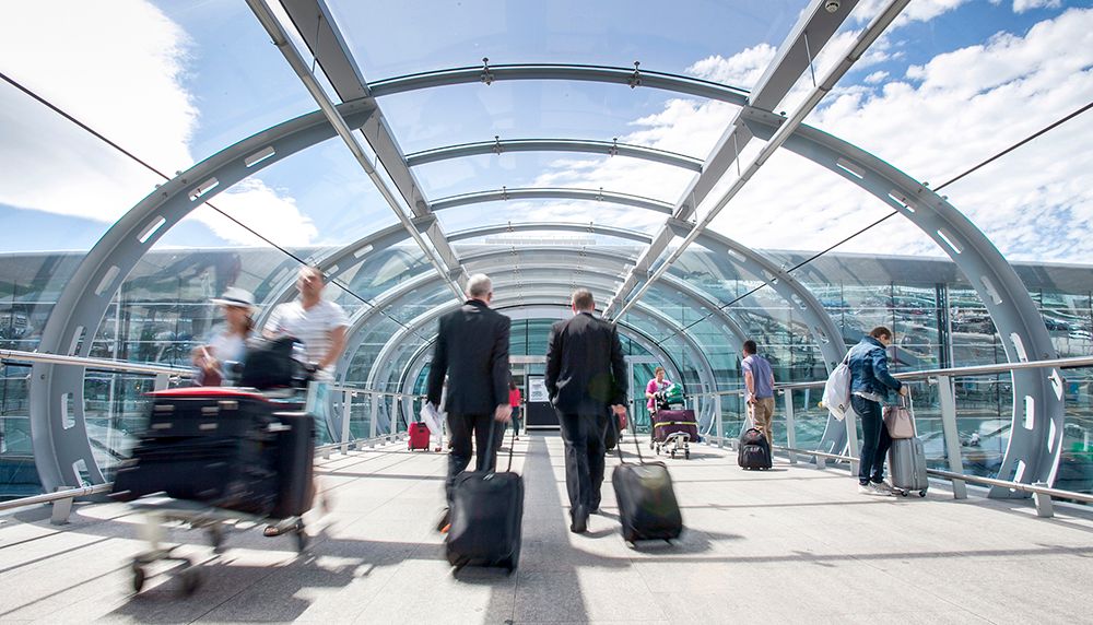 Holidaymakers urged to know law on illegal plant and animal trade