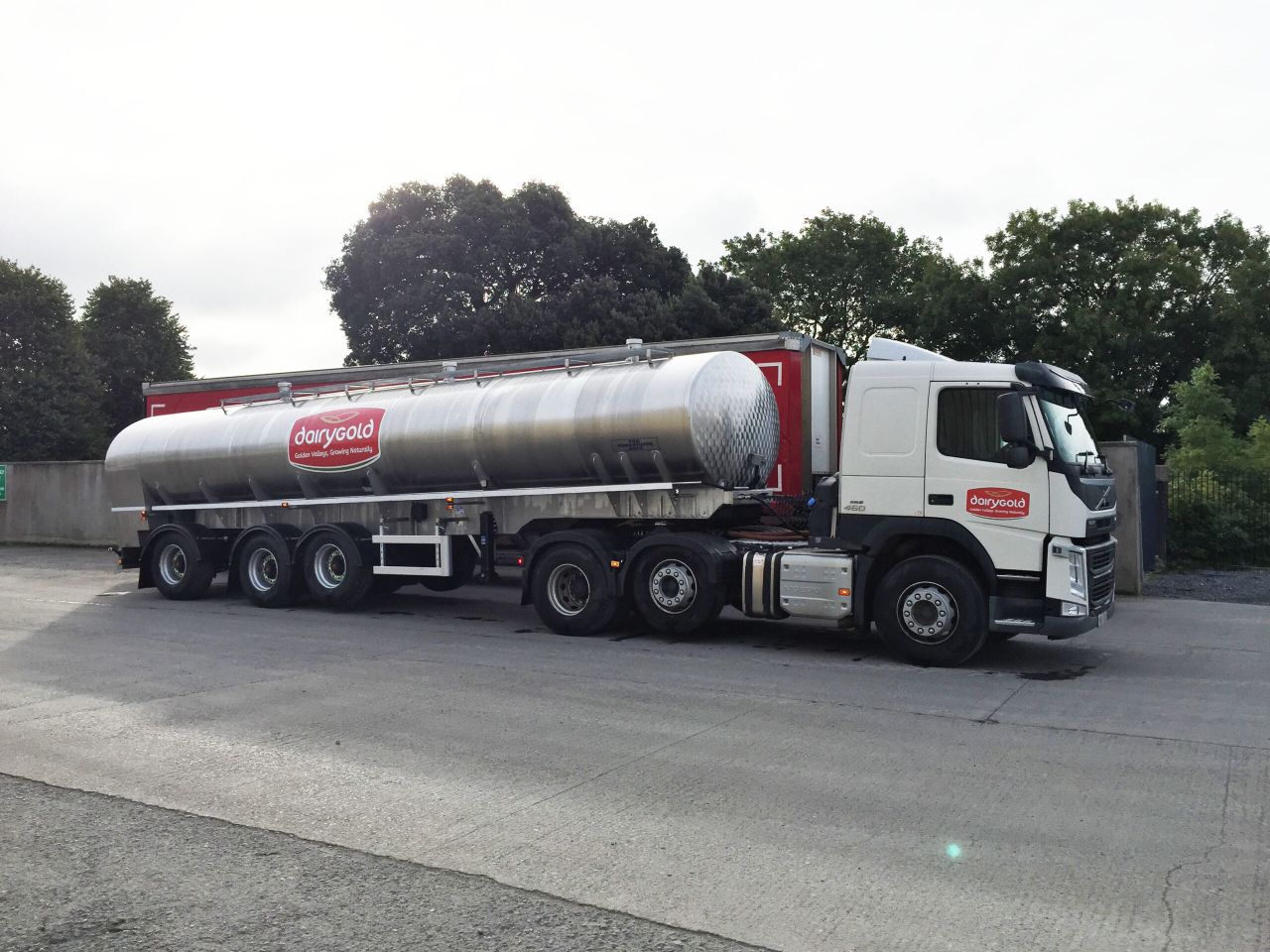 Dairygold raises milk price for March supplies