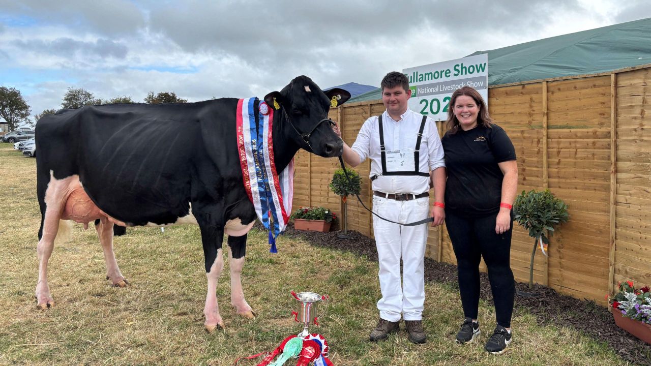 Paul Murphy and Emma Behan with the Tullamore Show Senior Champion cow, Coolroehouse Abbott Ann