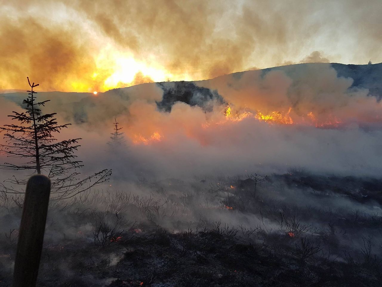 DAFM extends 'condition orange' high fire risk warning by one week