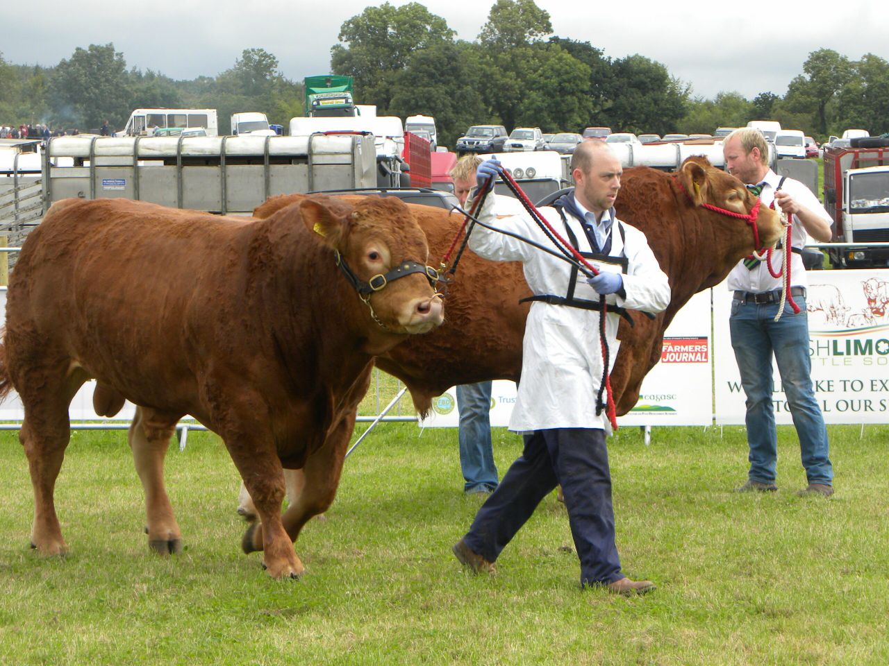 Pics: Thousands throng to the 2016 Tullamore Show