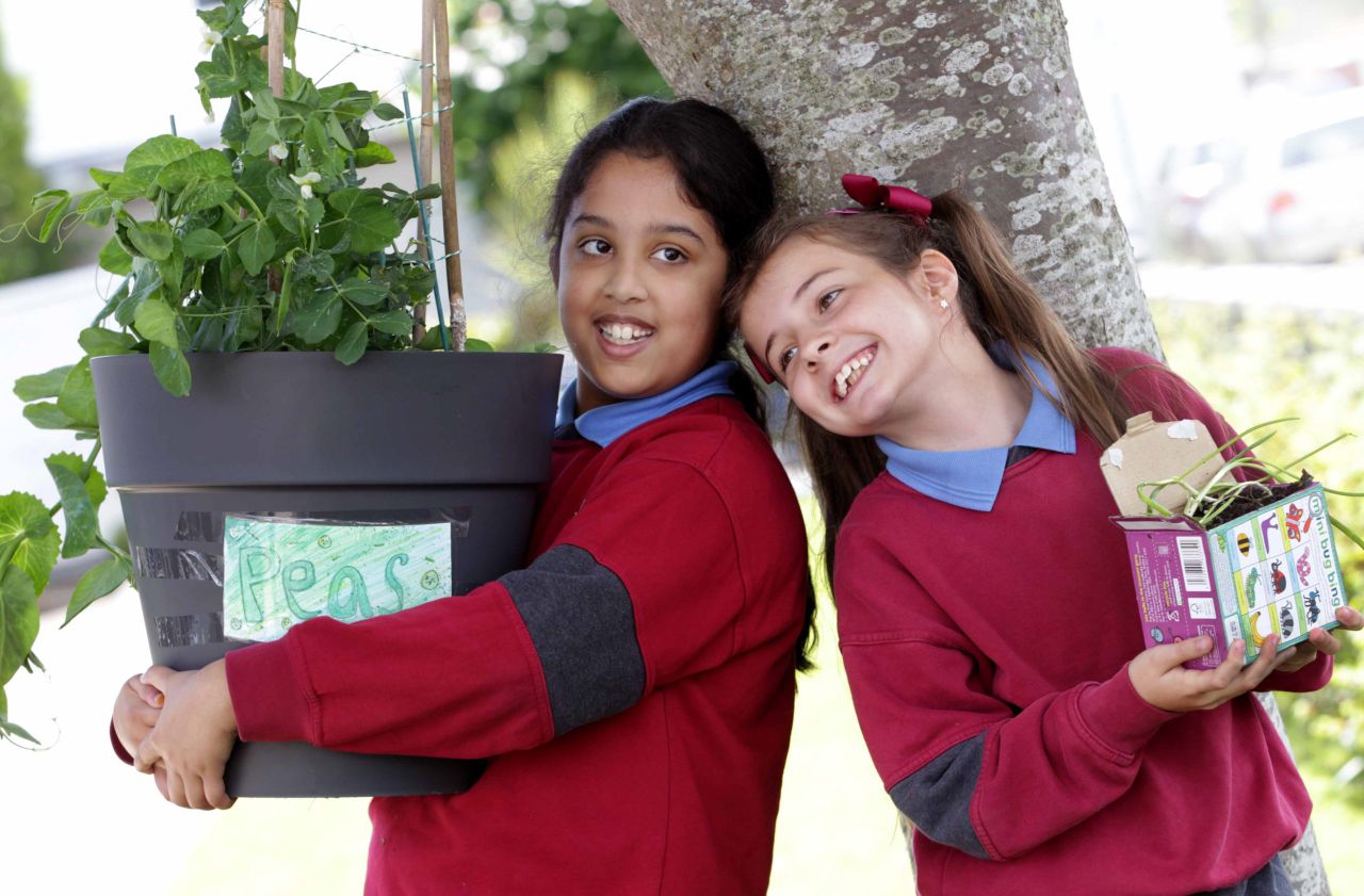Students win €1,000 garden revamp in Big Grow competition