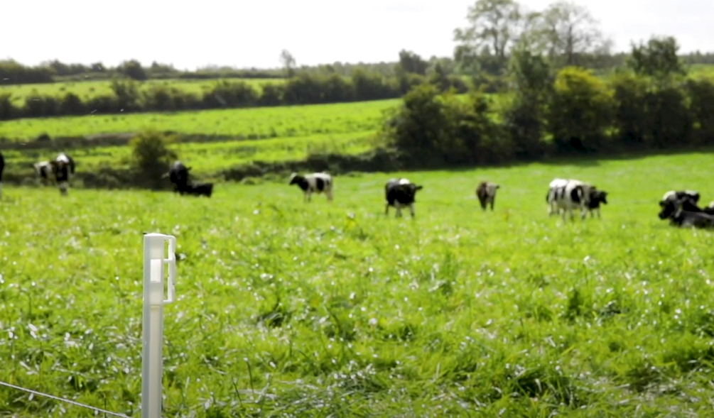 GrowthWatch: Preparations for spring grassland management begin now