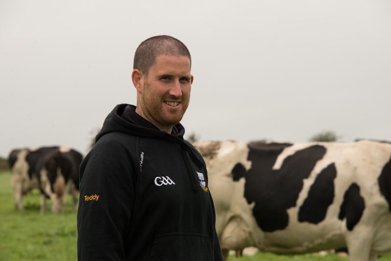 Herd health key as Waterford dairy farmers double cow numbers