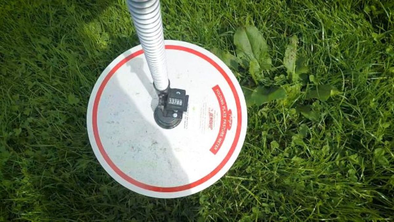 Grass growth: Adjusting the rotation to stay on track