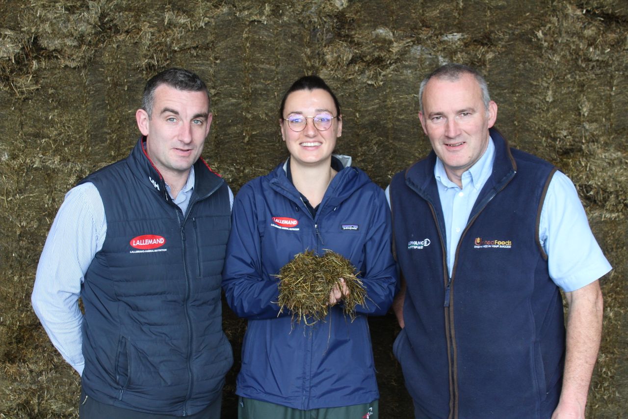 NI dairy farmers have sufficient silage for winter