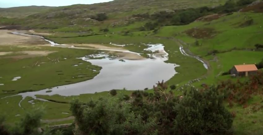 History, hedgecutting and a hunt to feature on Ear to the Ground