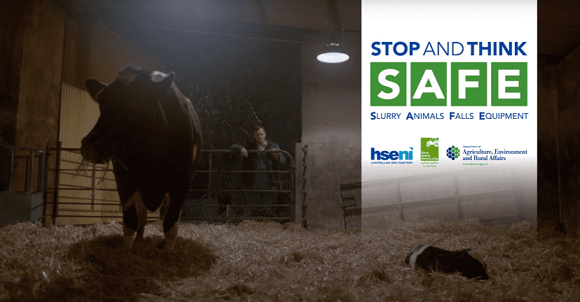 Video: Chilling farm safety advert highlights the danger of freshly calved cows